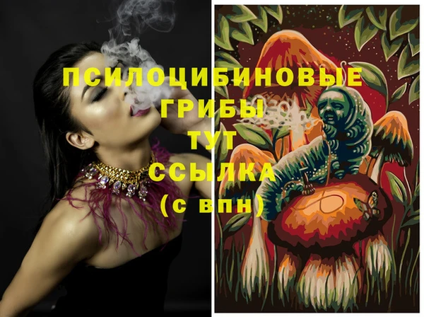 jwh Горняк